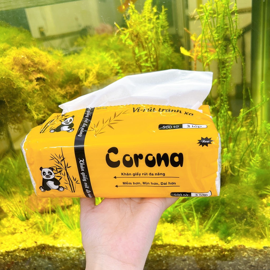 Kiến Thức Về Khăn Giấy Corona
